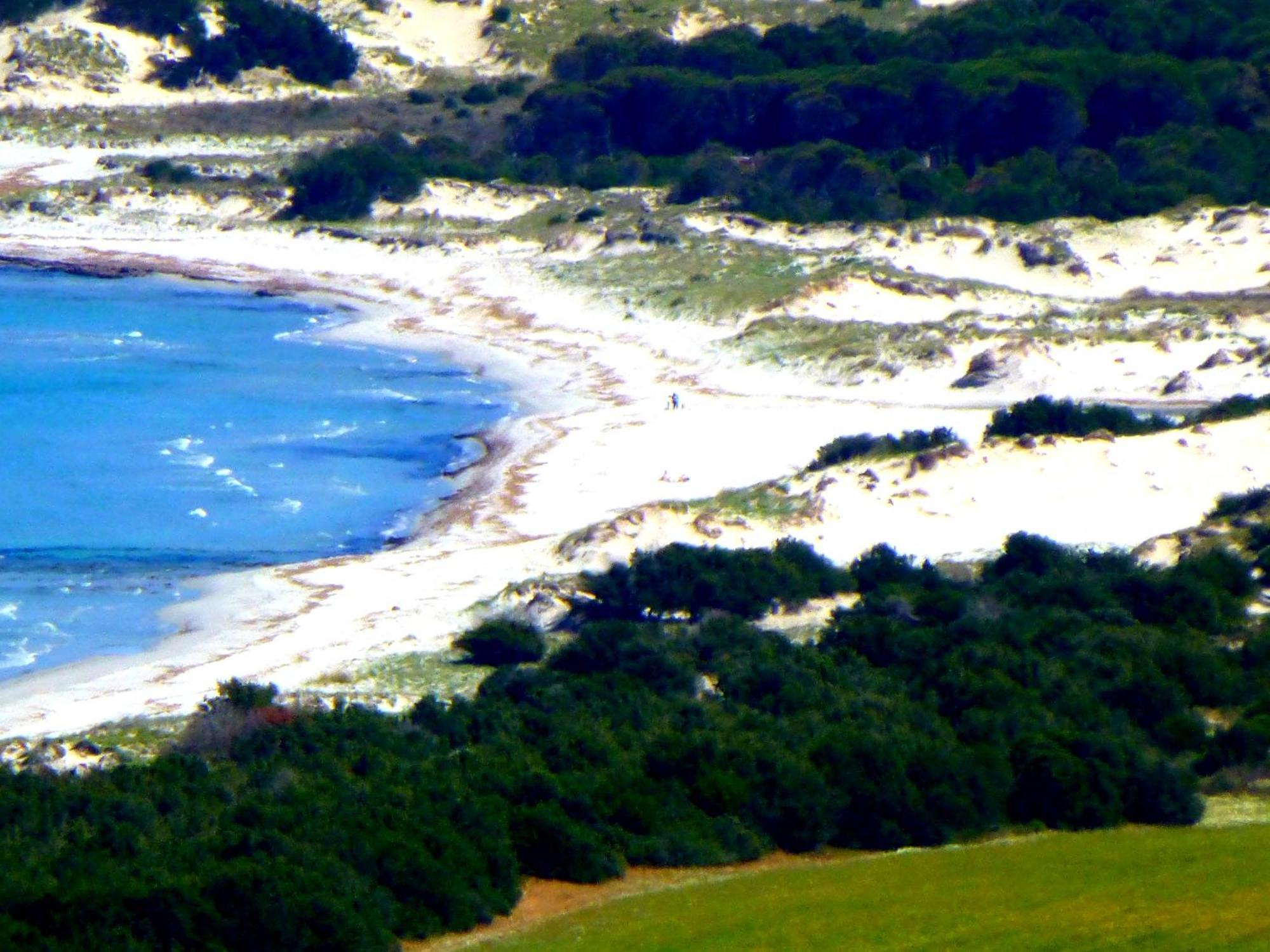 Comino Alto Agriturismo E Appartamenti Siniscola Exterior photo